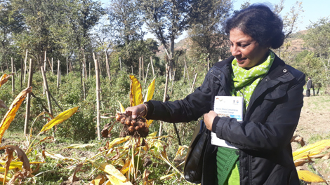 Ms. Archana Sharma, Director (DEST)during field visit at Dhamun Panchayat, Shimla 2 Ms. Archana Sharma, Director (DEST)during field visit at Dhamun Panchayat, Shimla 2 photo