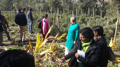 Ms. Archana Sharma, Director (DEST)during field visit at Dhamun Panchayat, Shimla 1 Ms. Archana Sharma, Director (DEST)during field visit at Dhamun Panchayat, Shimla 1 photo
