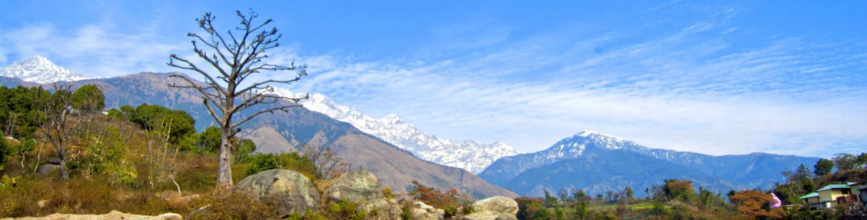 जो प्रकृति से प्यार नहीं करता, जीवन में कुछ भी हासिल नहीं कर सकता